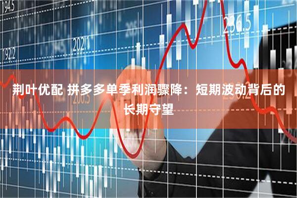 荆叶优配 拼多多单季利润骤降：短期波动背后的长期守望