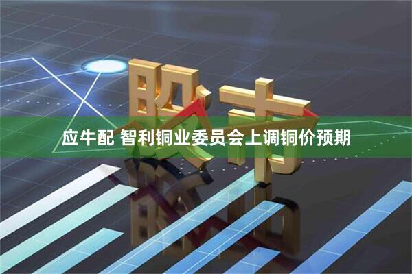 应牛配 智利铜业委员会上调铜价预期