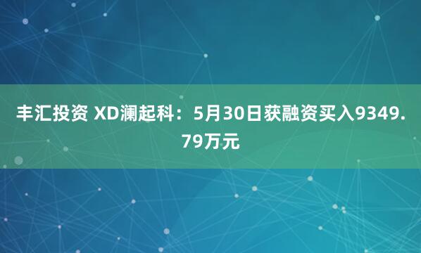 丰汇投资 XD澜起科：5月30日获融资买入9349.79万元