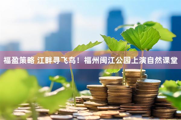 福盈策略 江畔寻飞鸟！福州闽江公园上演自然课堂