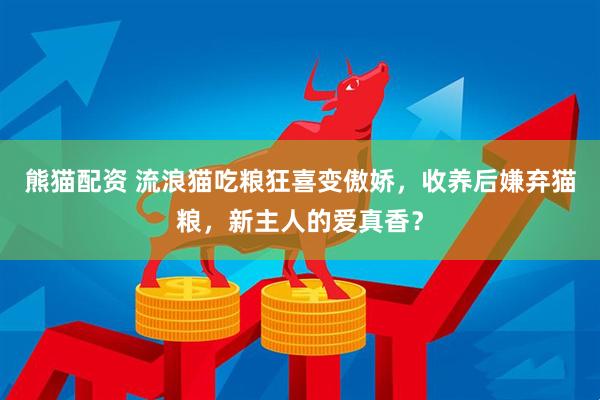 熊猫配资 流浪猫吃粮狂喜变傲娇，收养后嫌弃猫粮，新主人的爱真香？